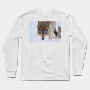 Timber Wolves Long Sleeve T-Shirt